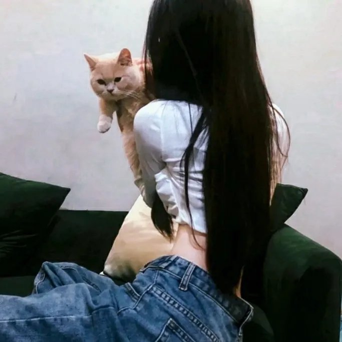 女记者查案记