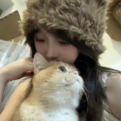 蜘蛛的策略